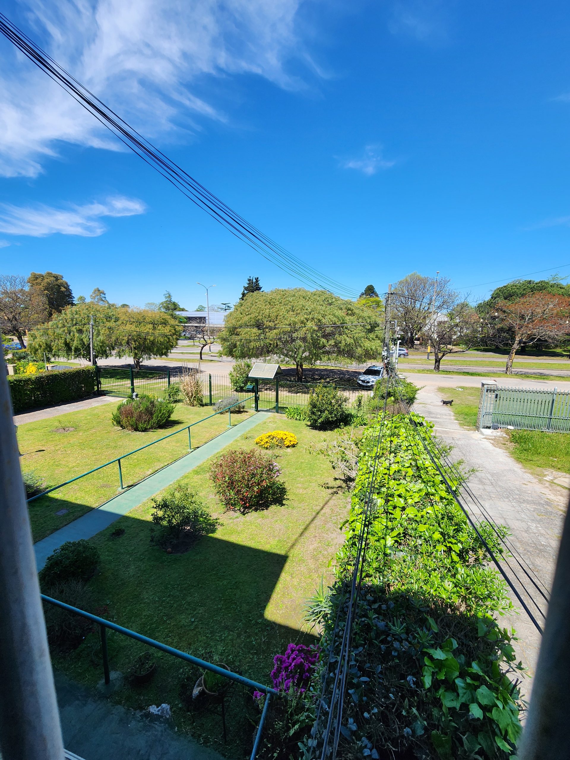 Vista Superior jardín del residencial en carrasco Jardín frente de Residencial