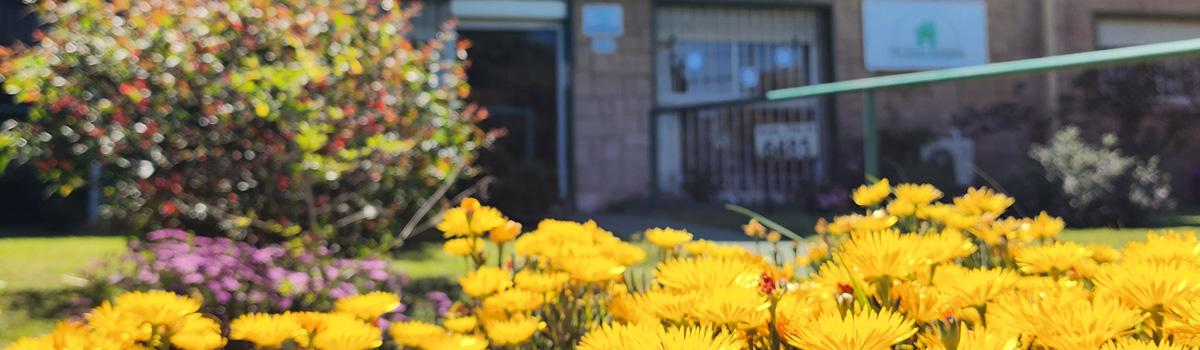 Servicios 1 Frente de The Green Residence, Estadía y servicios para adultos mayores